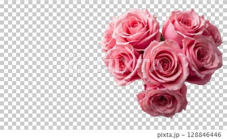 A pink rose with petals on a coordinating transparent background, reflecting the essence of love for mothers and women 128846446