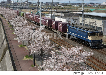 桜並木とEF65-2065牽引の貨物列車 桜並木とEF65-2065牽引の貨物列車 128847761