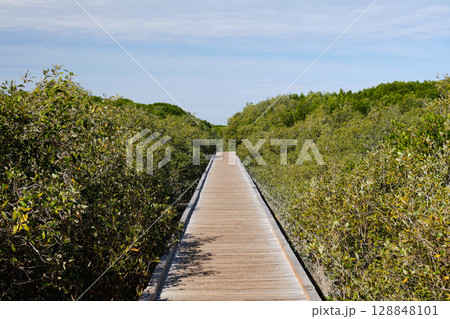 Streeter Jetty - Broome 128848101