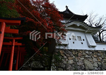 出石城の紅葉 出石城の紅葉 128848310