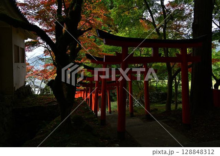 出石城の紅葉 128848312