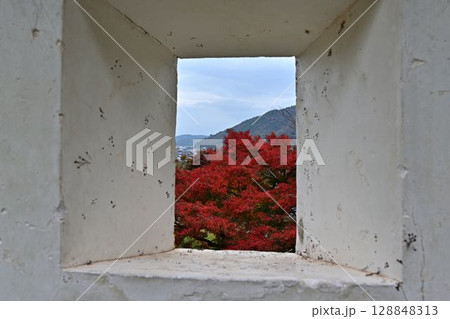 出石城の紅葉 出石城の紅葉 128848313