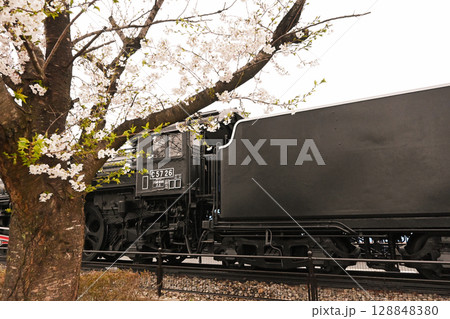 桜の花と年季の入ったC57型蒸気機関車 128848380