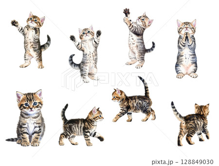 いろいろなポーズのかわいい子猫の水彩風イラストセット（透過背景） 128849030