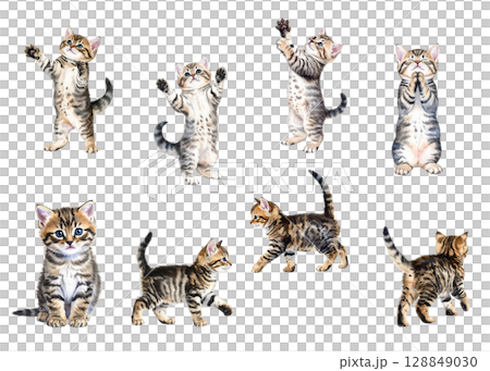 いろいろなポーズのかわいい子猫の水彩風イラストセット（透過背景） 128849030