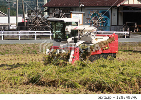 稲刈りと田園風景 128849846