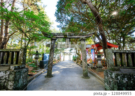 冬の八幡奈多宮 大分県杵築市 冬の八幡奈多宮 大分県杵築市 128849955