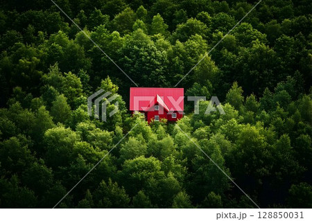 Crimson Cabin Nestled Among Verdant Trees, a Forest Sanctuary 128850031