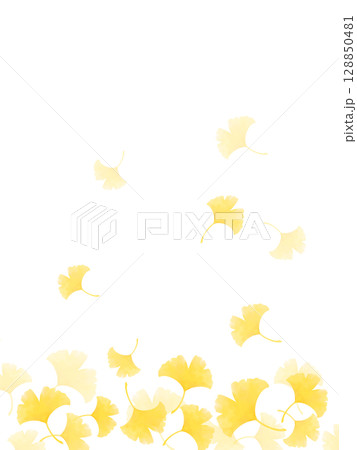 舞い落ちるイチョウの葉の水彩背景イラスト 128850481