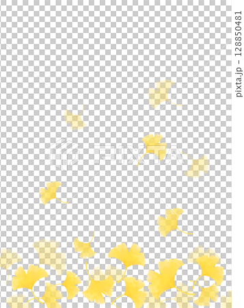 舞い落ちるイチョウの葉の水彩背景イラスト 128850481