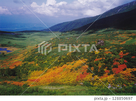 Hokkaido / 秋の北海道を歩く~大雪山系 愛山渓登山道界隈の紅葉の絶景(当麻岳・比布岳) Hokkaido / 秋の北海道を歩く~大雪山系 愛山渓登山道界隈の紅葉の絶景(当麻岳・比布岳) 128850697