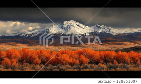 Autumnal Aspens Under Ominous Skies, Snow-Capped Peaks in the Di 128851007