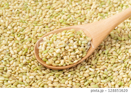 スプーンに載せた緑米のクローズアップ スプーンに載せた緑米のクローズアップ 128851620