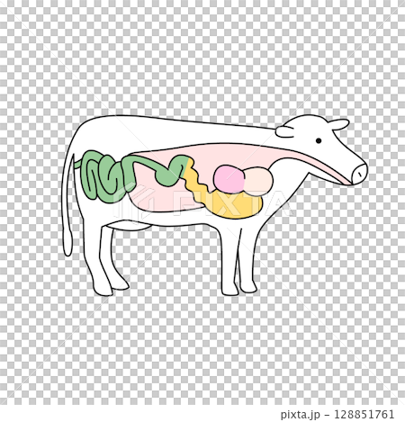 牛胃 128851761