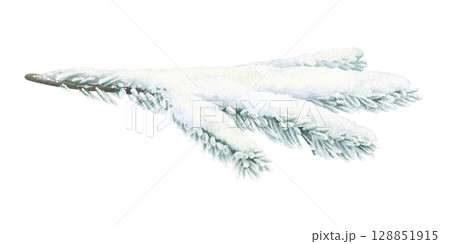 A Christmas Tree branch covered with Snow. Watercolor illustration of a fir winter plant. Hand drawn vintage sketch on white isolated background. Water color painting clip art image A Christmas Tree branch covered with Snow. Watercolor illustration of a fir winter plant. Hand drawn vintage sketch on white isolated background. Water color painting clip art image 128851915