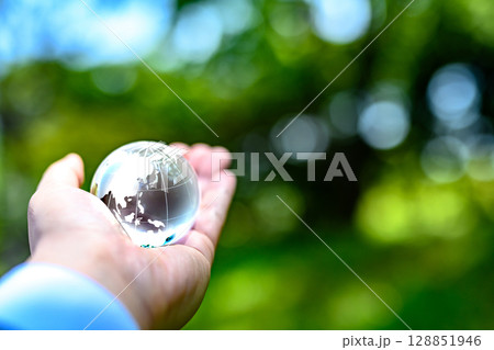 綺麗な新緑にかざす地球儀の水晶　エコロジーイメージ　地球白黒色 128851946