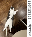 床に落ちた猫 128851965
