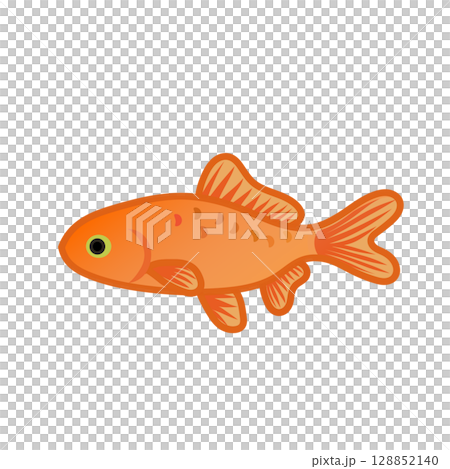 和金のイラスト 128852140