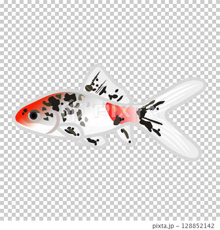 キャリコ和金のイラスト 128852142