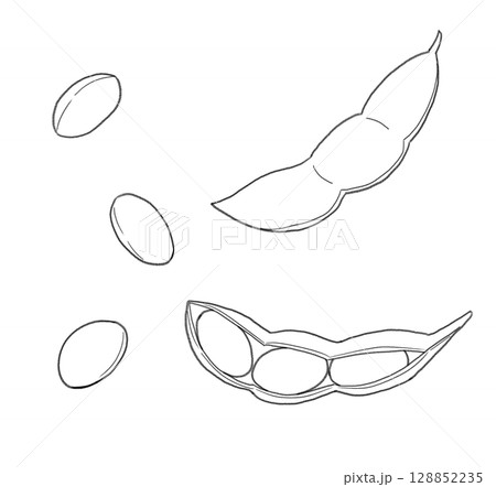 枝豆の線画 128852235