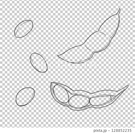 枝豆の線画 128852235
