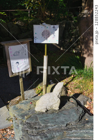 鎌倉宮 亀若丸(神奈川県鎌倉市) 鎌倉宮 亀若丸(神奈川県鎌倉市) 128852243