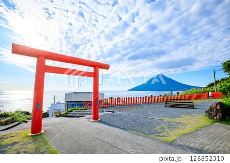 秋の龍宮神社と開聞岳 鹿児島県指宿市 秋の龍宮神社と開聞岳 鹿児島県指宿市 128852310