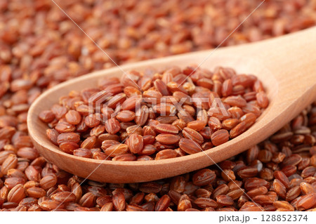 スプーンに載せた赤米のクローズアップ スプーンに載せた赤米のクローズアップ 128852374