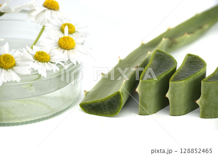 Fresh Aloe Vera and Chamomile Displayed for Natural Organic Skincare Concept 128852465