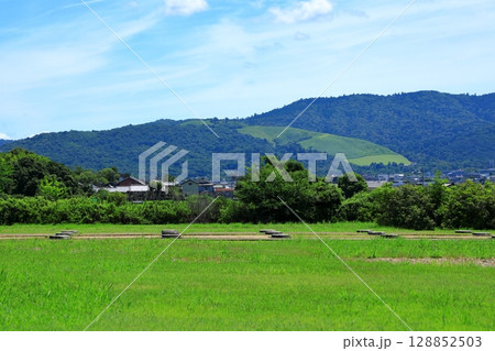 平城宮跡歴史公園　第二次大極殿跡から見た若草山 128852503
