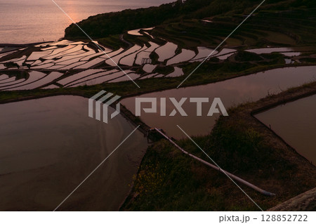 《長崎県》夕暮れの土谷棚田・日本の原風景 128852722