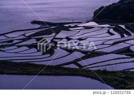 《長崎県》薄明の空の土谷棚田・日本の原風景 《長崎県》薄明の空の土谷棚田・日本の原風景 128852788