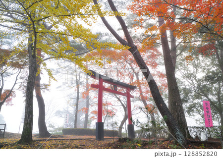 秋の曽木の滝 128852820