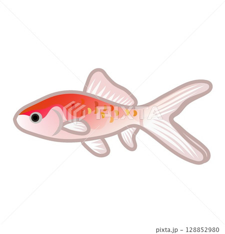 更紗和金のイラスト 128852980