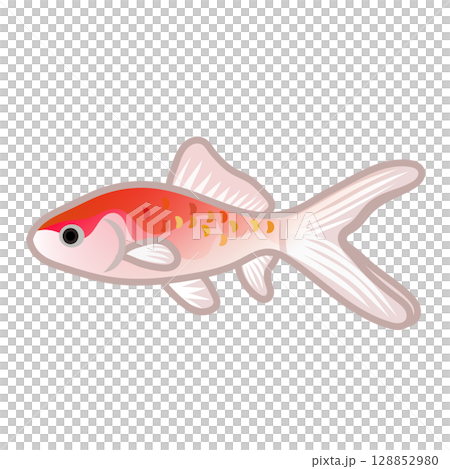 更紗和金のイラスト 128852980