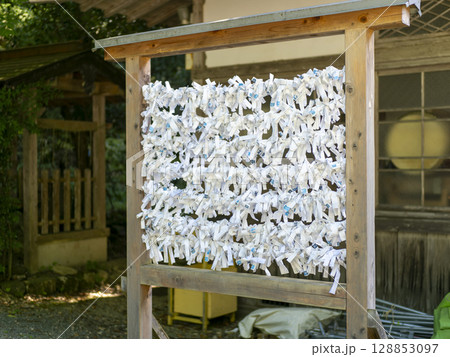 結び付けられた神社のお神籤 結び付けられた神社のお神籤 128853097