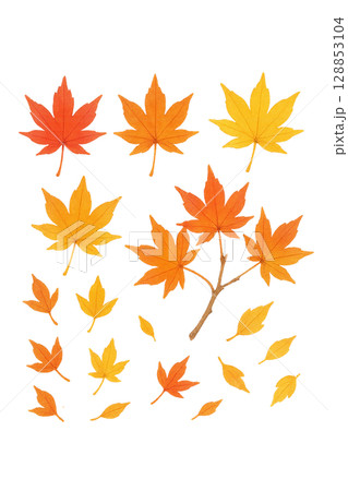 カラフルな紅葉リーフセット（PNG切り抜き） 128853104