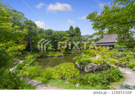 奈良の名勝庭園　依水園　三秀亭 128853109