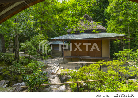 奈良の名勝庭園　依水園　後園 128853110