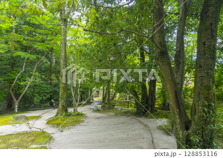 奈良の名勝庭園　依水園　後園 128853116