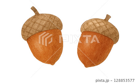どんぐり二つ組(PNG切り抜き) どんぐり二つ組(PNG切り抜き) 128853577