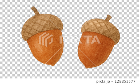 橡果二重奏(PNG 剪紙) 橡果二重奏(PNG 剪紙) 128853577