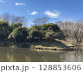 池に映る青空 128853606