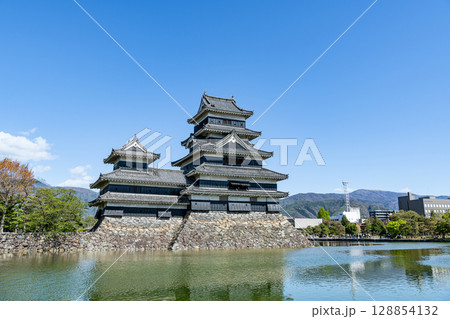 長野県松本市 晴天の国宝松本城 長野県松本市 晴天の国宝松本城 128854132
