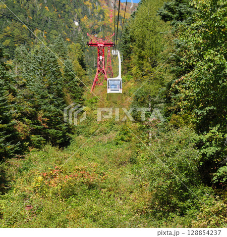 初秋の山岳ロープウェイ 128854237