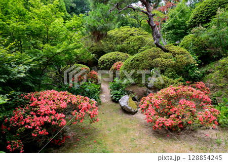 蛇の鼻　2025-6-21　＃23 128854245