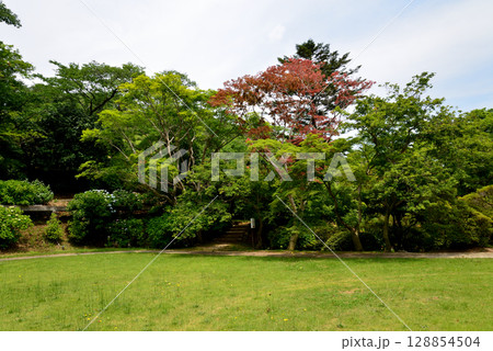 蛇の鼻　2025-6-21　＃34 128854504