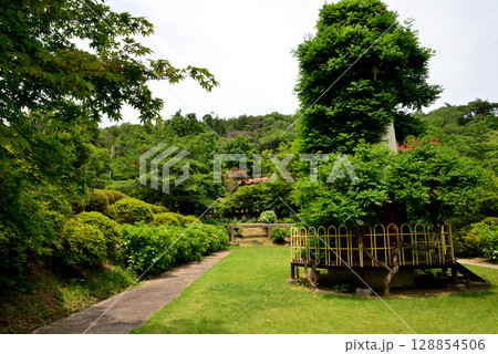 蛇の鼻　2025-6-21　＃36 128854506