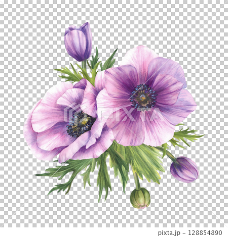 Watercolor Anemone, Windflowers Pink buds with eucalyptus green leaves. Purple flowers bouquet for wedding, birthday greeting card floral design. Hand drawn isolated on white background illustration 128854890