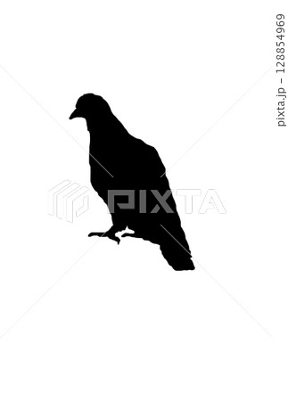 鳩のシルエット 128854969